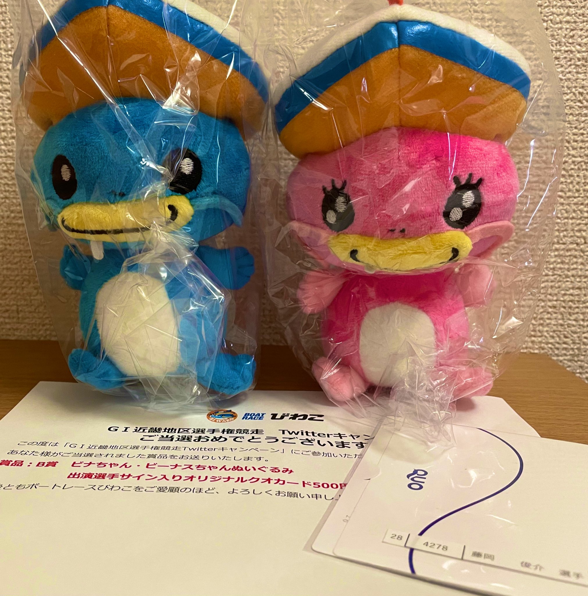 まとめ買い特価 びわこ競艇 ビナちゃん Big ぬいぐるみ ボートレース Www Health Worx Co Za
