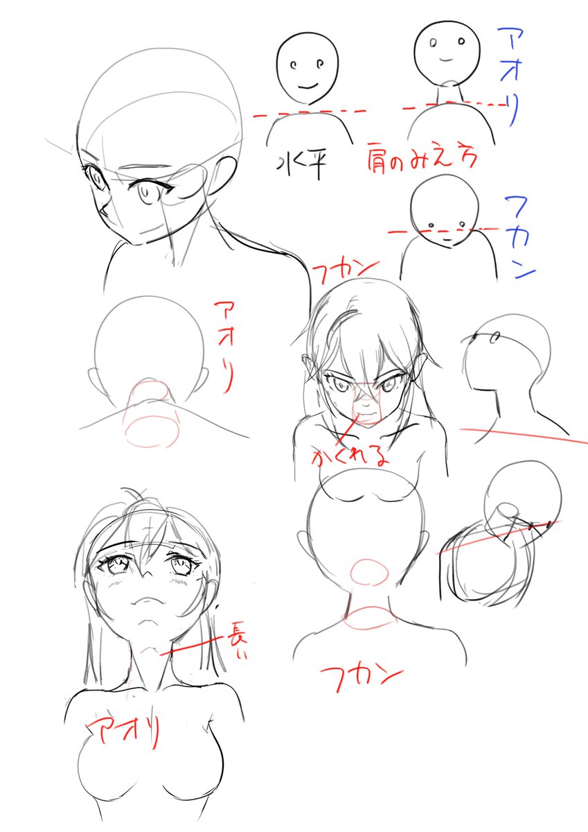 4月からアニメ私塾でのトレーニングなので、
室井先生のYouTubeで予習?をしています。
キャラの俯瞰とアオリでの首と肩の作画についての講義でした。
これからの講義の添削結果等は塾の規約によりTwitterにはアップできないので、一般公開されている動画の講義メモをアップしてゆこうと思います。 