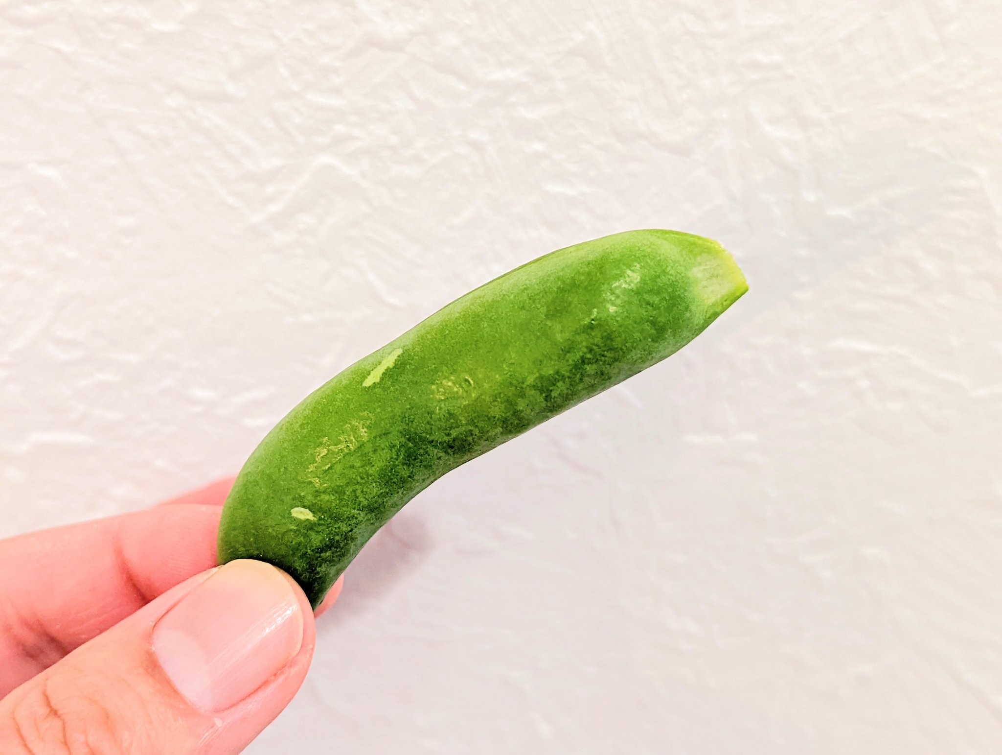 青髪のテツ 野菜のプロ 八百屋の豆知識 豆ご飯のグリーンピースは さや付きを買ってください さや付きを買ってください さや付きを買ってください さやから出た実はみるみるうちに鮮度劣化し食味も落ちます さらにさやを入れてご飯を炊くと