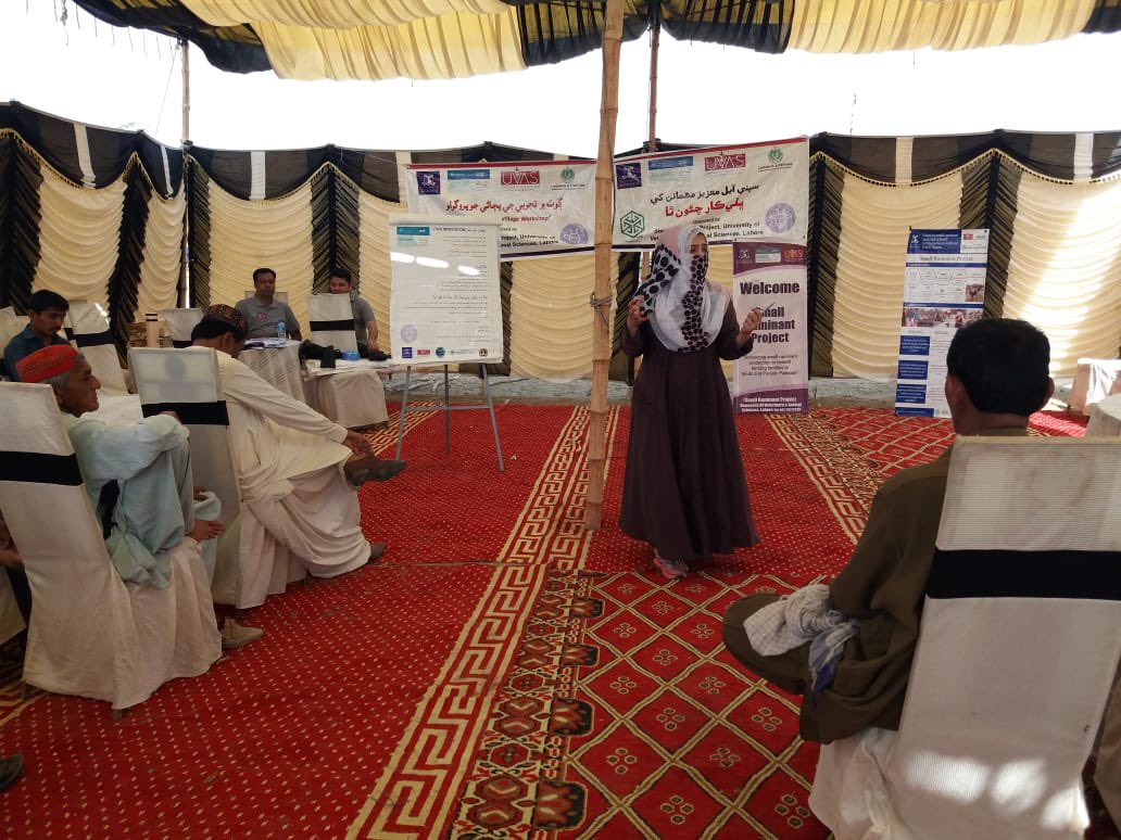 Delivering <a href="/RuminantsSmall/">Small Ruminant Project</a> project results to farmers in Sindh today &amp; hearing the value of creep feeding to target nutrition to young goats that need it most. AND women researchers front’n’centre! <a href="/NossalInstitute/">Nossal Institute for Global Health</a> <a href="/ACIARAustralia/">ACIAR</a> <a href="/AciarPakistan/">ACIARPakistan</a> <a href="/LD4D_community/">Livestock Data for Decisions</a> <a href="/bec_doyle/">Bec Doyle</a>