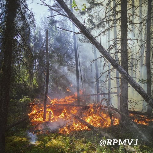 𝑽𝒊𝒋𝒂𝒚 𝕏 tweet media