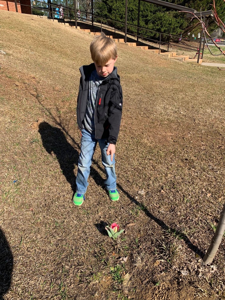 2nd Grade Oak Grove Elementary STEAM Academy tweet media