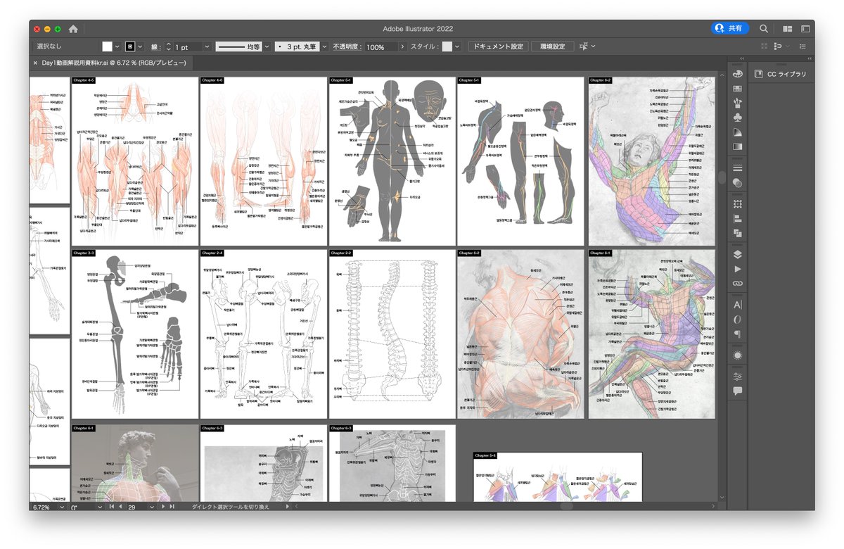 Colosoさんの資料集翻訳がひと段落。運良く韓国語版のterminologia anatomica(国際解剖学用語)にアクセスできました。 