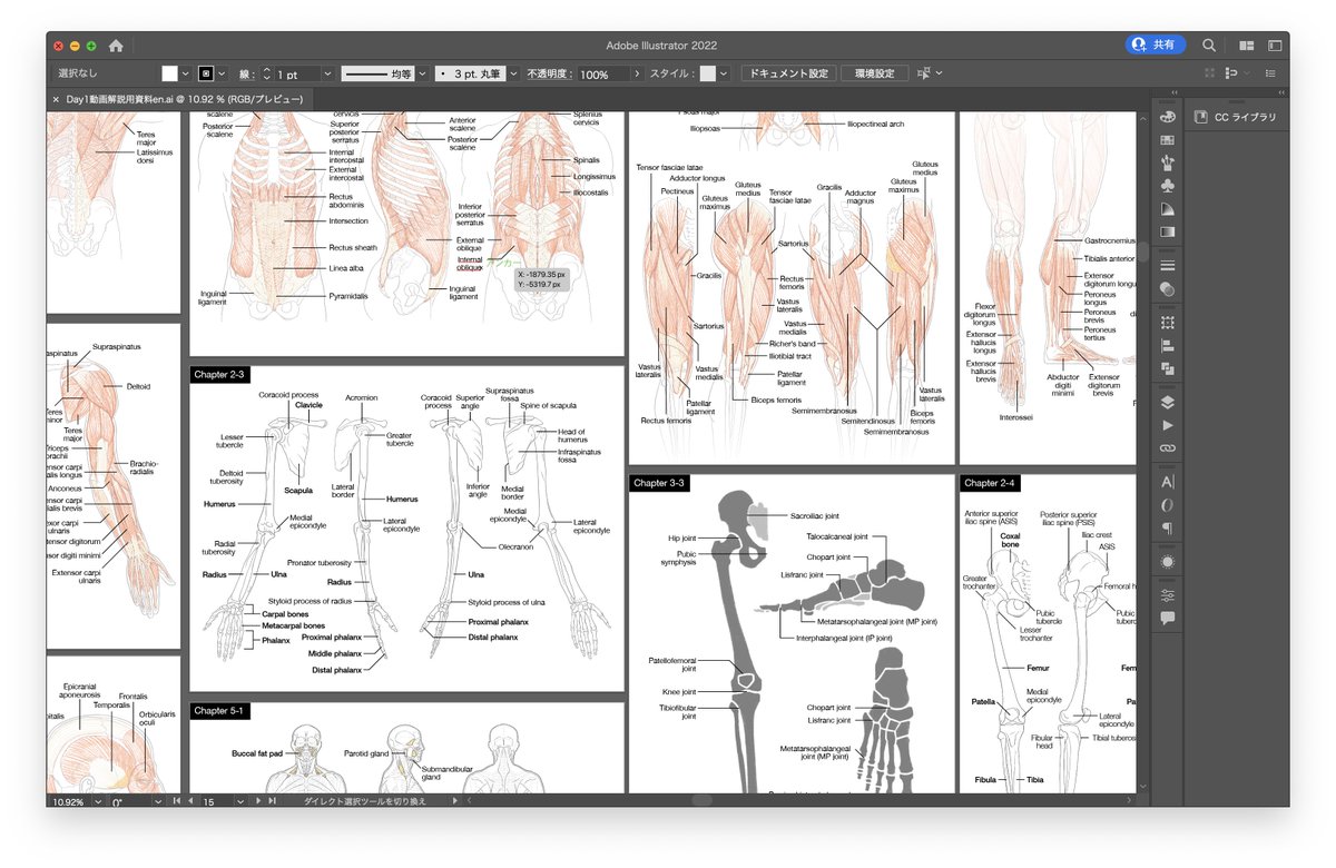 Colosoさんの資料集翻訳がひと段落。運良く韓国語版のterminologia anatomica(国際解剖学用語)にアクセスできました。 