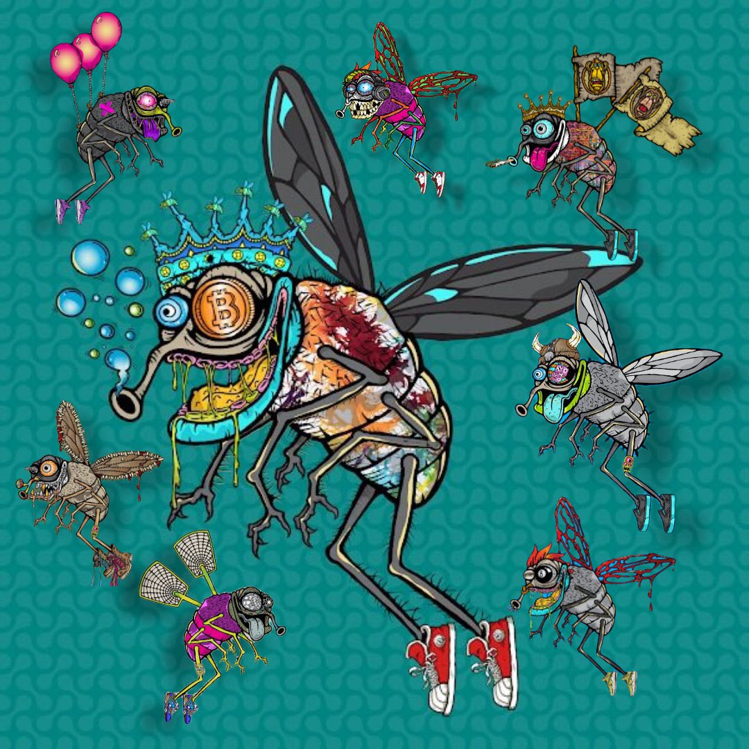 DCZ2136's tweet photo. I got a swarm going on over here!! @CynKllr13 for the win again!! Thank you for the background. These are all my rarest @funky_flies which one is your favorite??? #zzzzzzz #FFlies #Fam #LFG #fliesfollowflies #cynkllr13photos https://t.co/99KS5PoWmt
