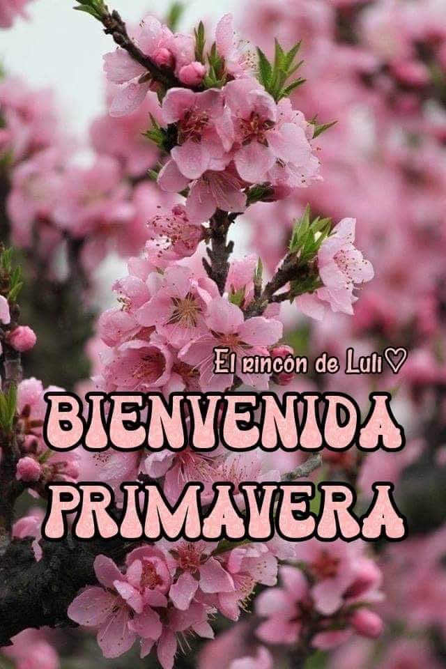 iriscarrero1's tweet photo. https://t.co/oX7O692gRi