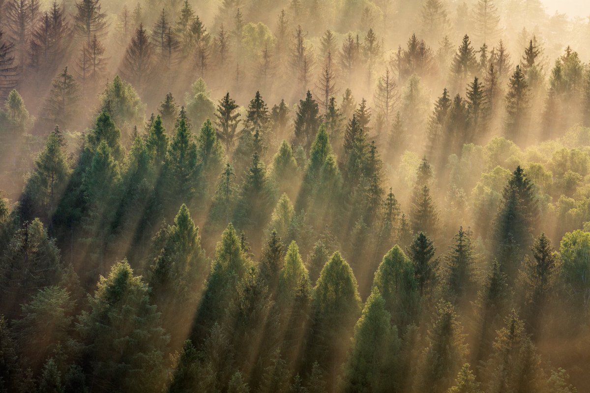 Martin Rak tweet media