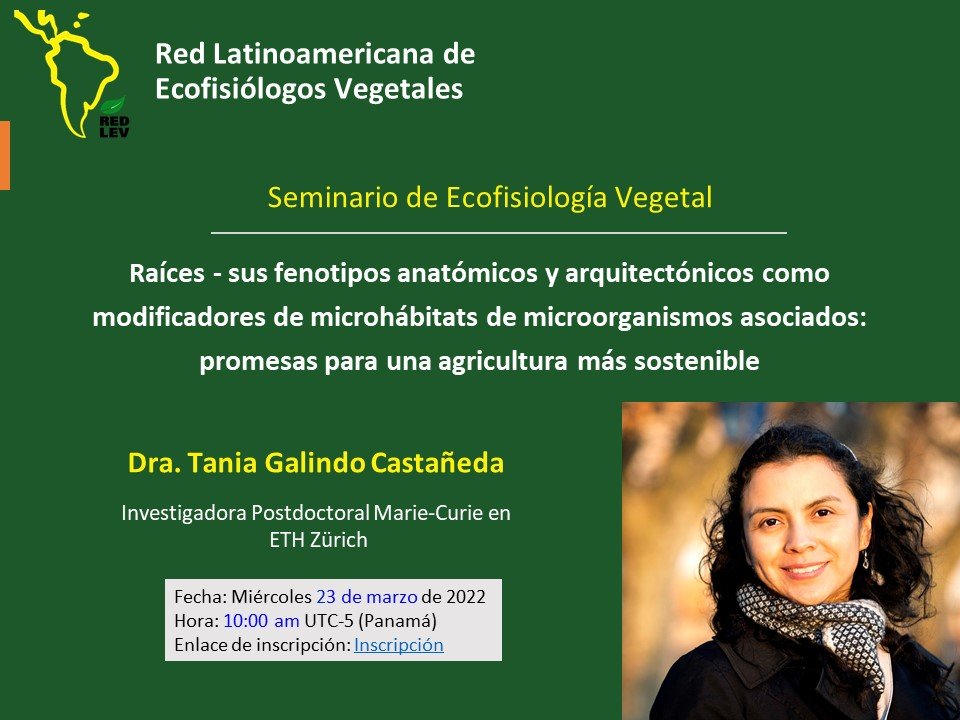 TaniaGa67513233's tweet photo. Raíces - sus fenotipos anatómicos y arquitectónicos como modificadores de microhábitats de microorganismos asociados: promesas para una agricultura más sostenible.
Mañana! Inscripciones: https://t.co/WpBgJZMrHt https://t.co/euYfH0ihew