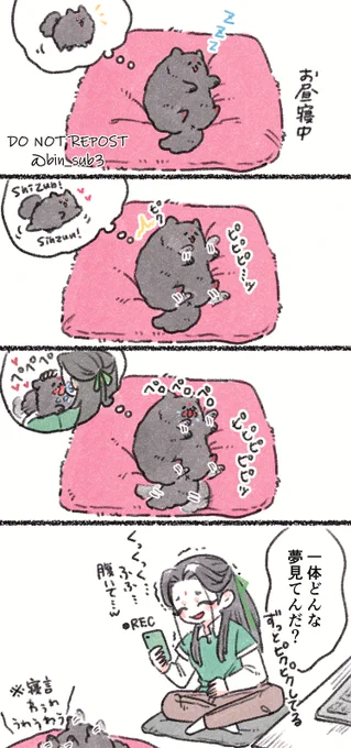 bingpup夢を見る 
