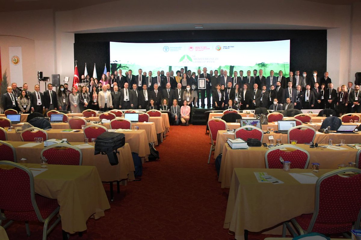 VIIth Mediterranean Forest Week- Antalya dlvr.it/SM8ZYS