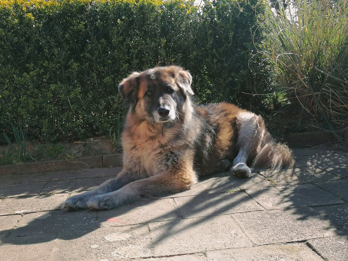 <3 coming up night we will spend inside our home again. but then we will be back in the wild with no stairs.