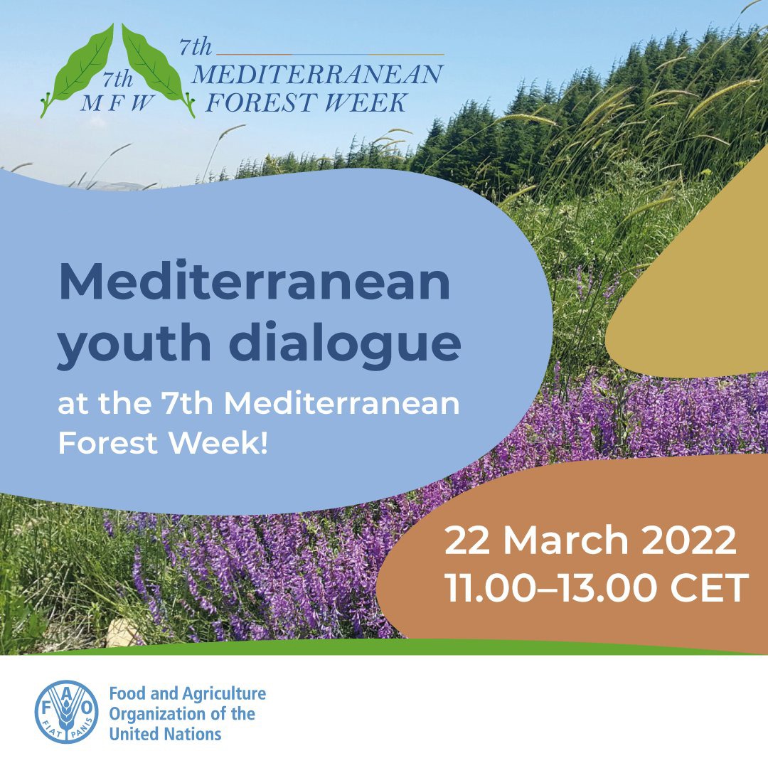 GhilasHimi's tweet photo. Le dialogue des jeunes vient de se terminer avec succès.
#Medforestweek #youthdialogue
@FCNMedNE https://t.co/QM0pCvnLQc