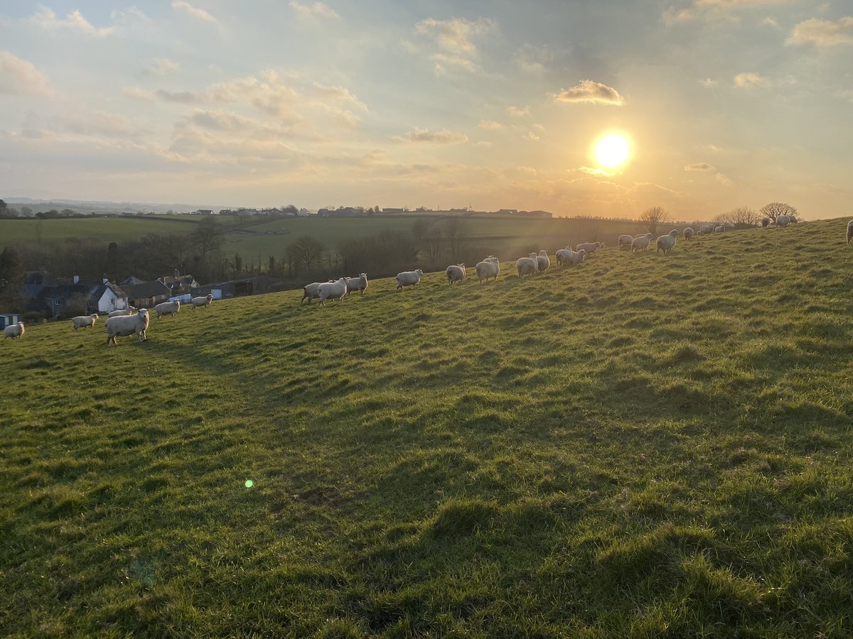 LizWainwright's tweet photo. I’m so pleased to be one of @MagazineSpelt’s new columnists🎉
Spelt celebrates diverse rural experience.
I’ll share stories from my parish & beyond, & explore nuance in this patch of rural Devon, & from pov of being a District Councillor
#amwriting #ruralwriting @ruralwriting https://t.co/So5QC1kAWi