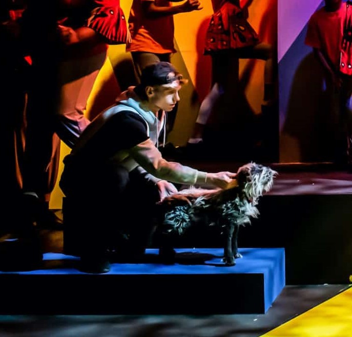 Theatre Peckham tweet media