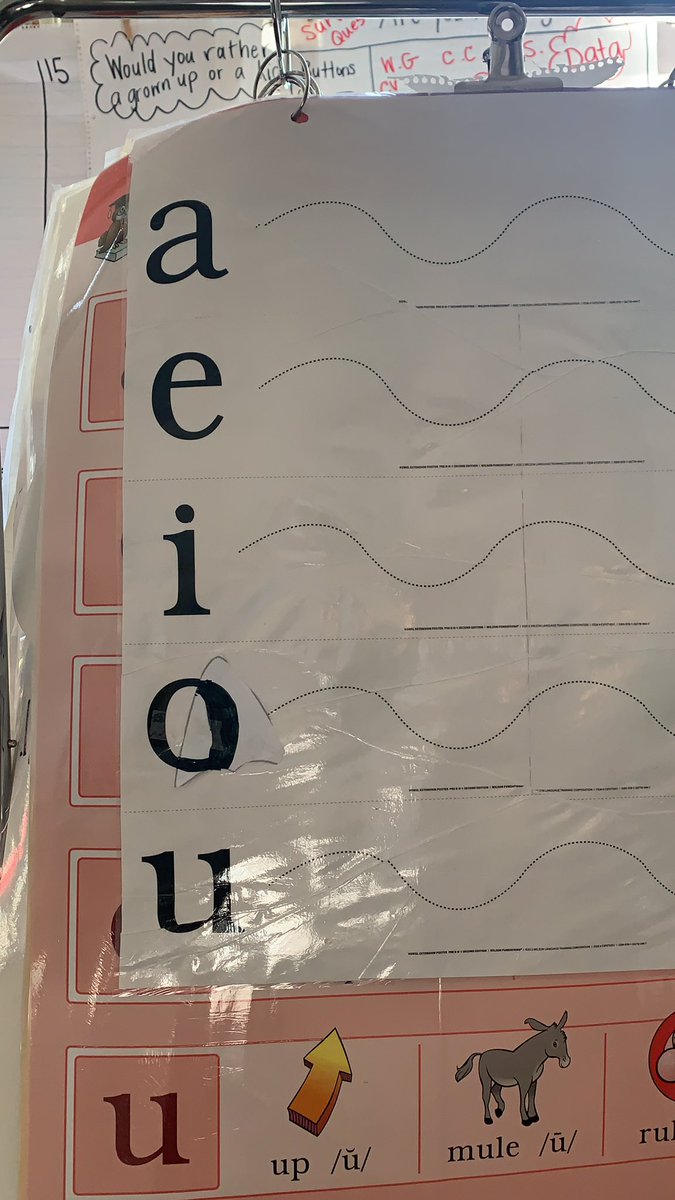 Cynthia Vihinen tweet media