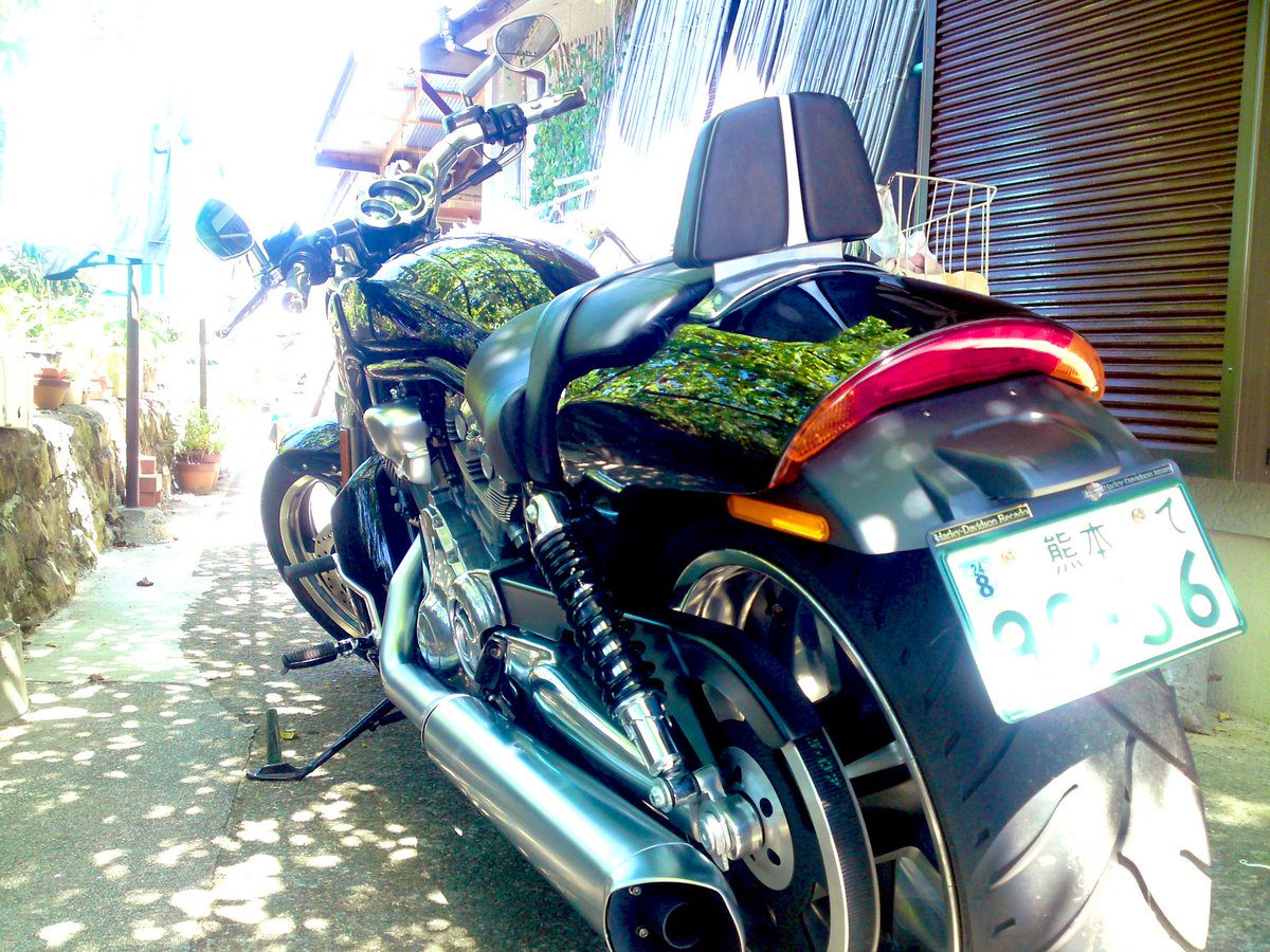 stevenX350's tweet photo. 今の時期、めちゃくちゃ乗りたくなるのがハーレーらしくないハーレー代表のV-Rod muscle…
神戸の町をまだ走ってんのかな…
あの時、なぜ売ったんだろう…
#VRSCF https://t.co/ynJimjwdyx