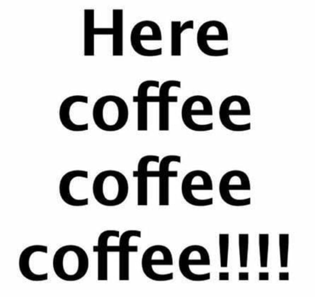 Your_Coffee_Fix's tweet photo. Have you ever misplaced your cup of coffee? 👀😀#NotAge #Morning https://t.co/rHGaCJ2BnM