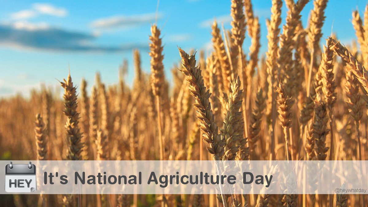 It's National Agriculture Day! 
#NationalAgricultureDay #AgDay #AgDay2022