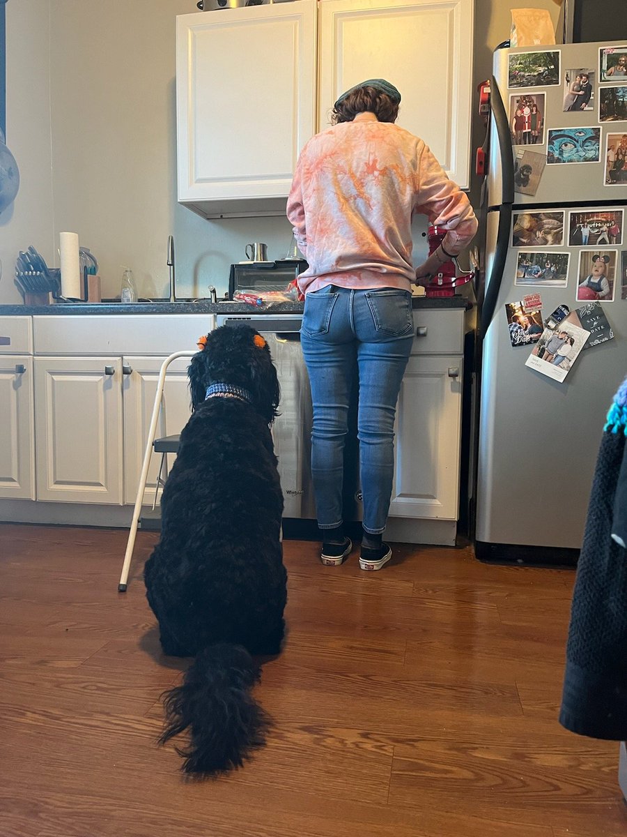 TrapBeans's tweet photo. My dog literally loves lettuce...? https://t.co/A8XMpv9qjS