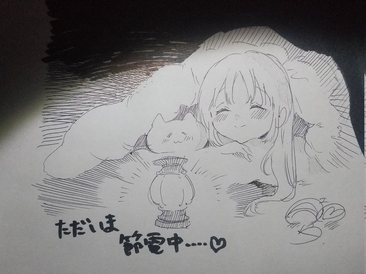 お布団でぬくぬくするクレアさんともちちゃん☺️😸💕 