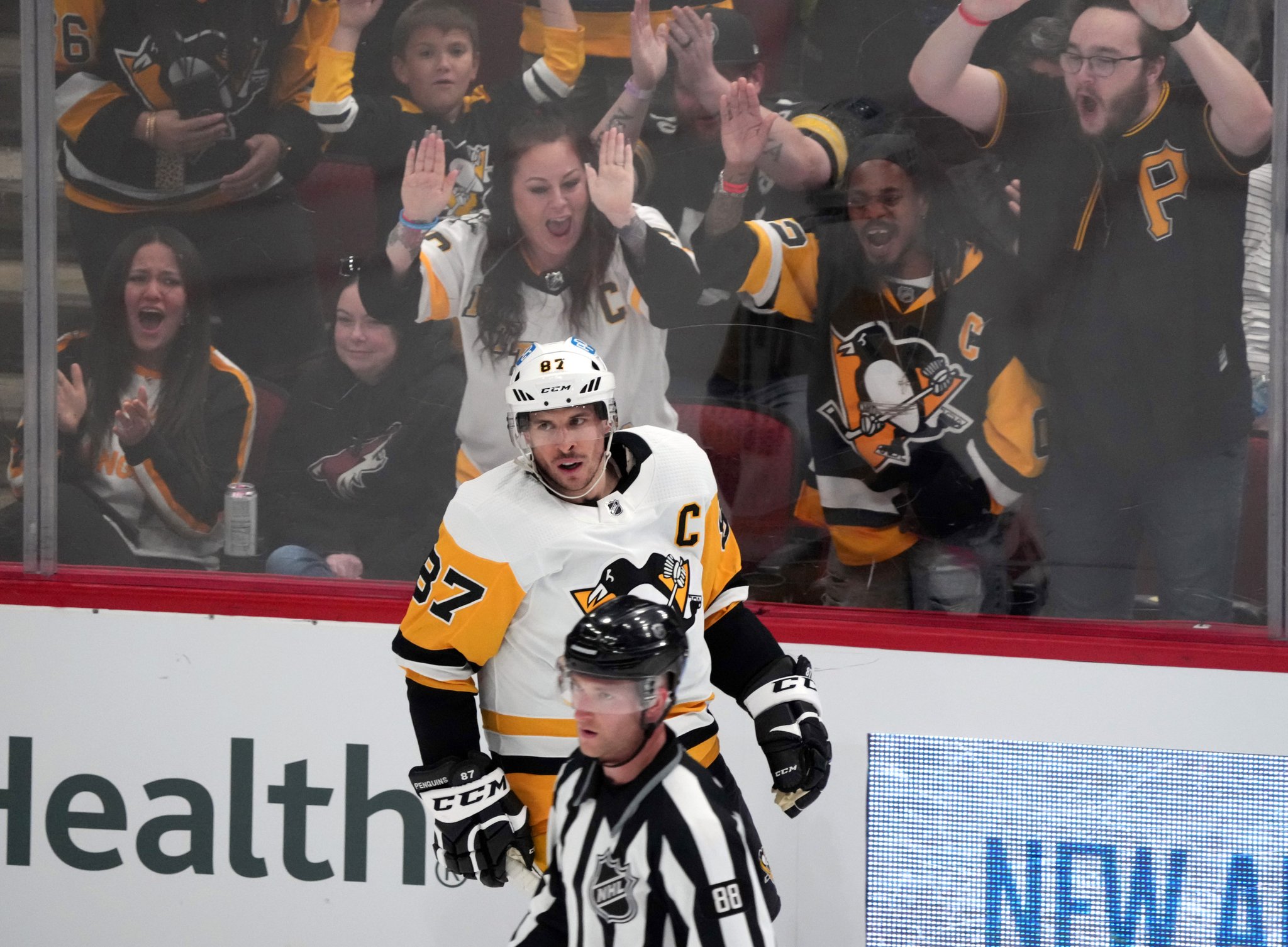 Nhl Pickswise - rnqz69r