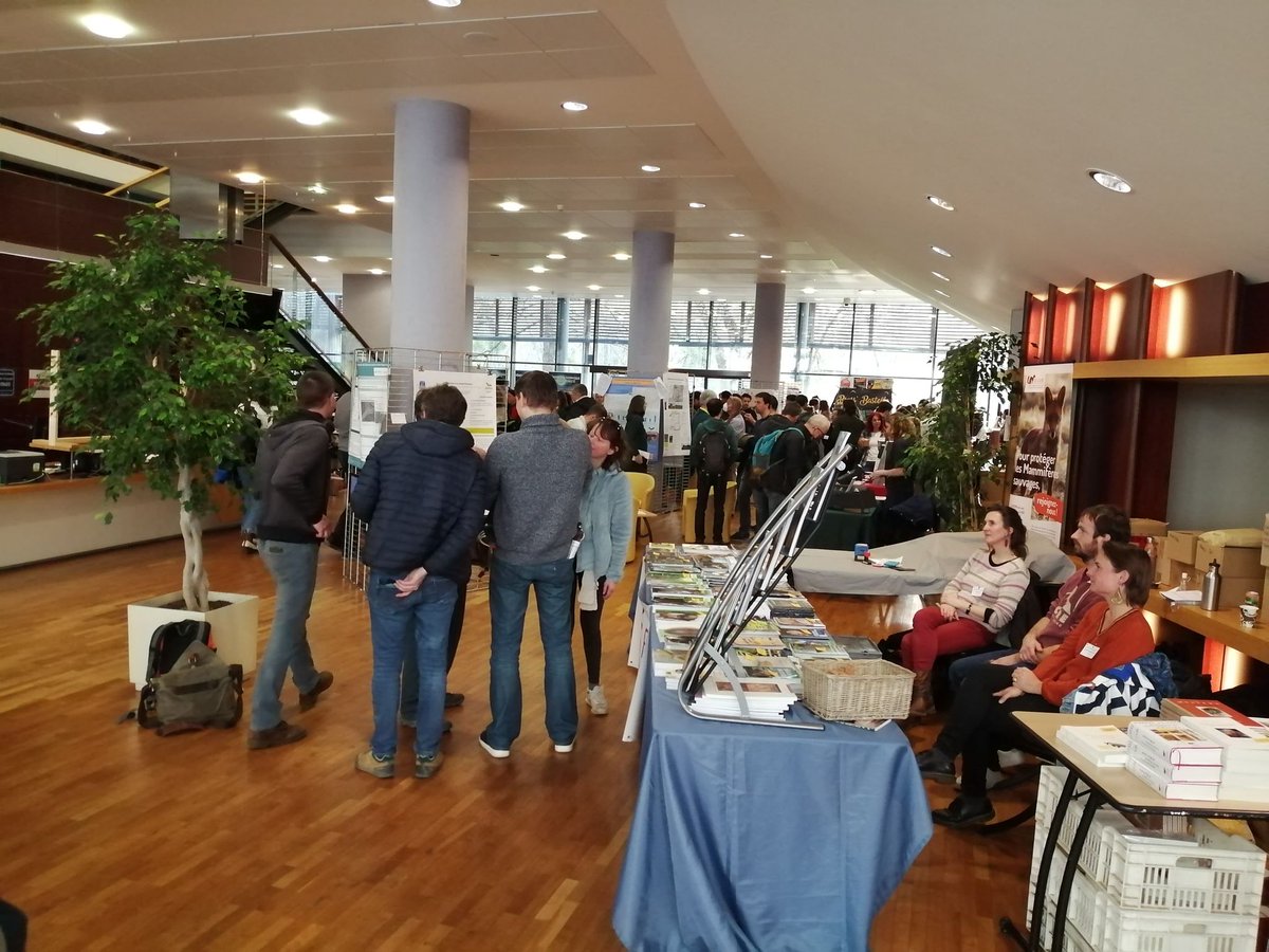 Nos équipes de naturalistes ont participé aux Rencontres nationales Chauves-souris, organisées par la SFEPM. 
Ce fut l’occasion pour nous de renforcer nos connaissances et nos compétences, sur une famille d’espèces très impactée par l’activité humaine.