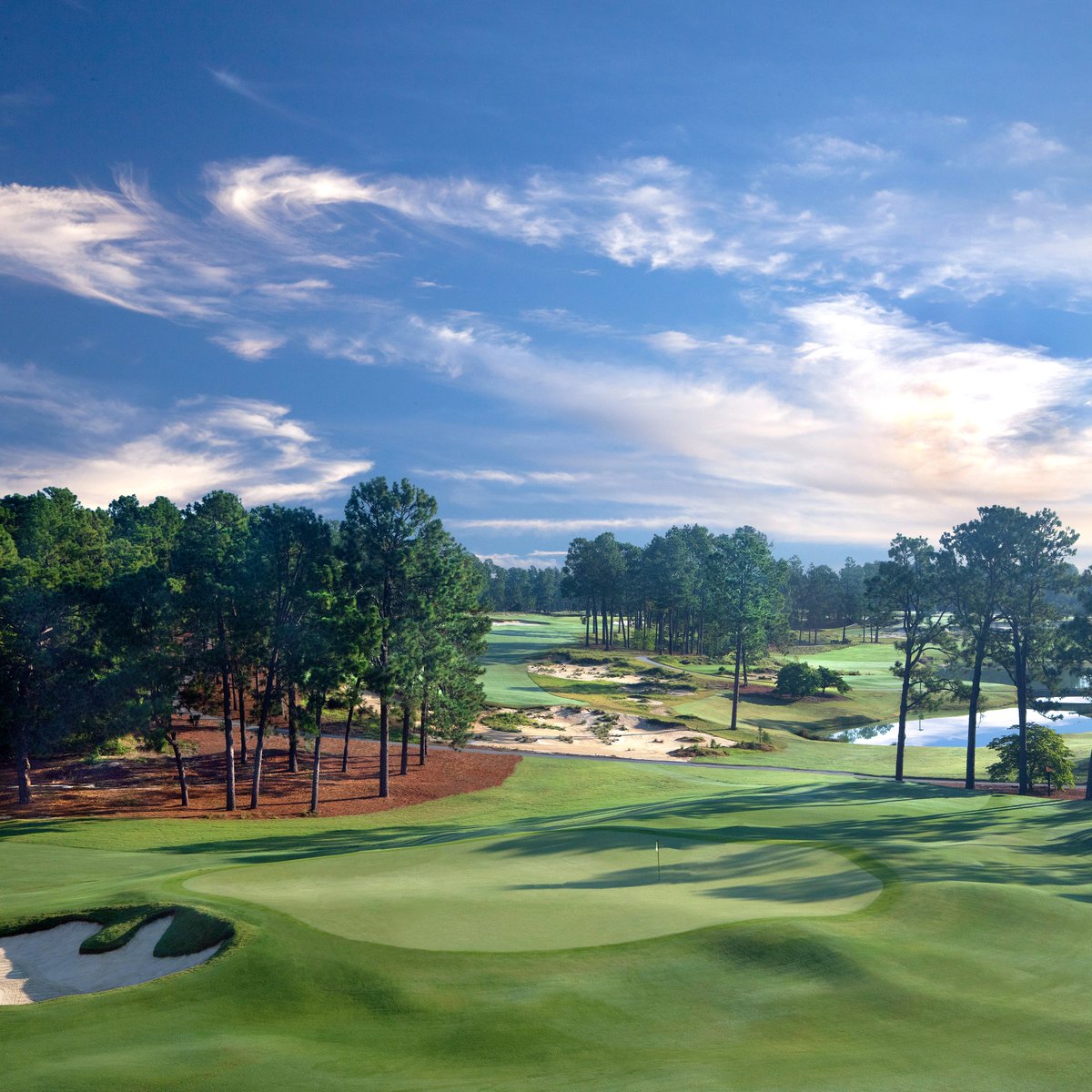PinehurstResort's tweet photo. That moment when Pinehurst No. 4 first opens up to you... https://t.co/yHh6R9dl05