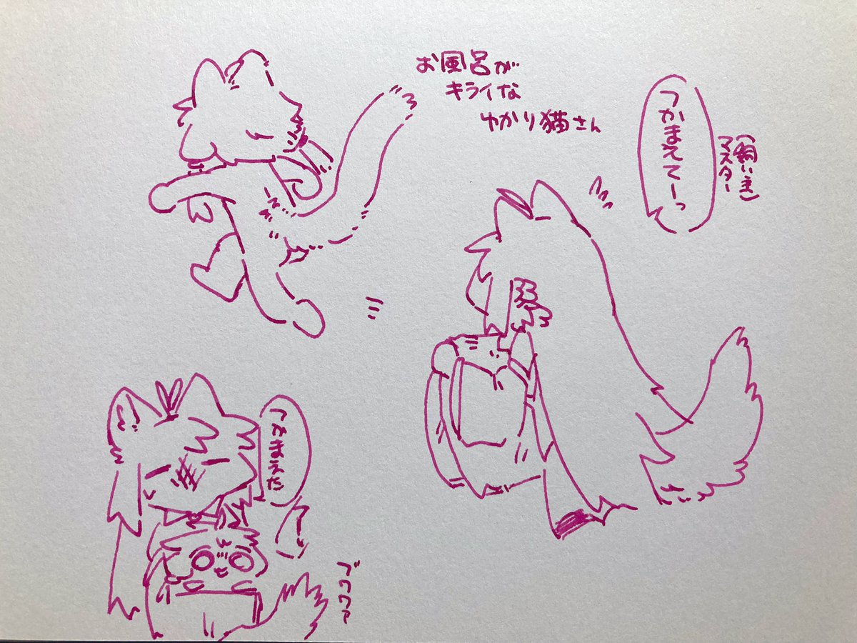 ゆかり猫さんはお風呂嫌い
ラクガキ 