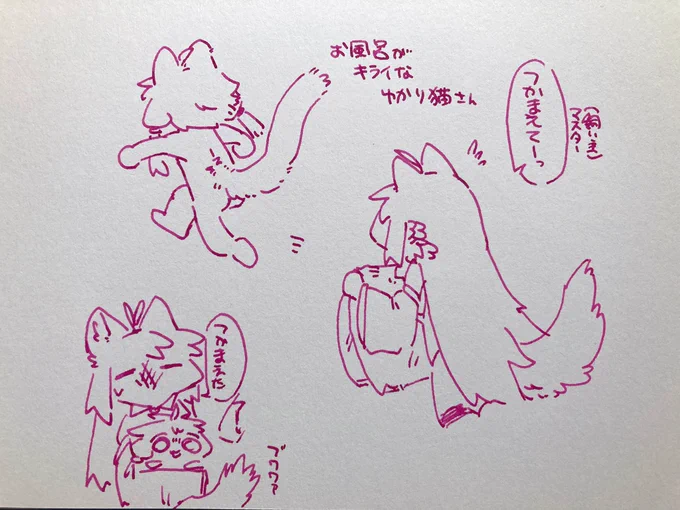 ゆかり猫さんはお風呂嫌い
ラクガキ 