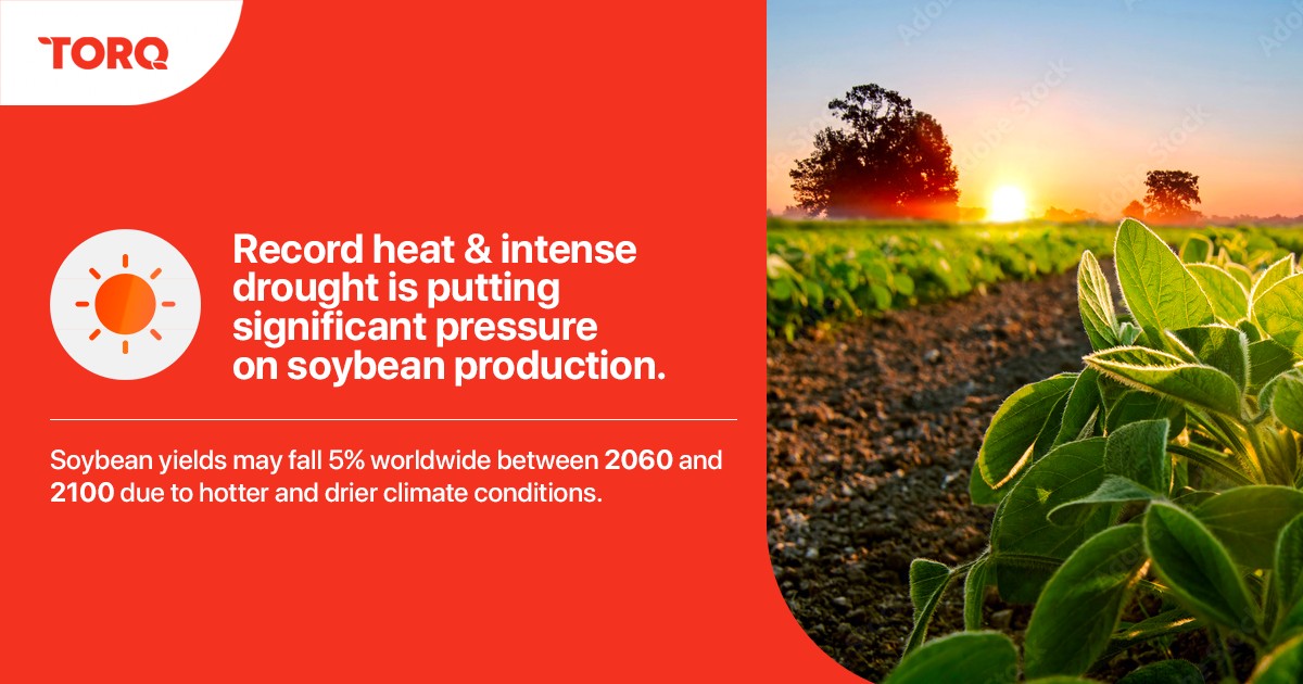 CommoditiesTorq's tweet photo. Soybean prices have been seeing similar heights as in 2012 due to the war in Ukraine piling pressure on global food systems already facing climate challenges.
#ukraine #climate #soybean #soyabean #trade #tradeprices #commodities #pricesurge #prices https://t.co/ACs6npk0lW