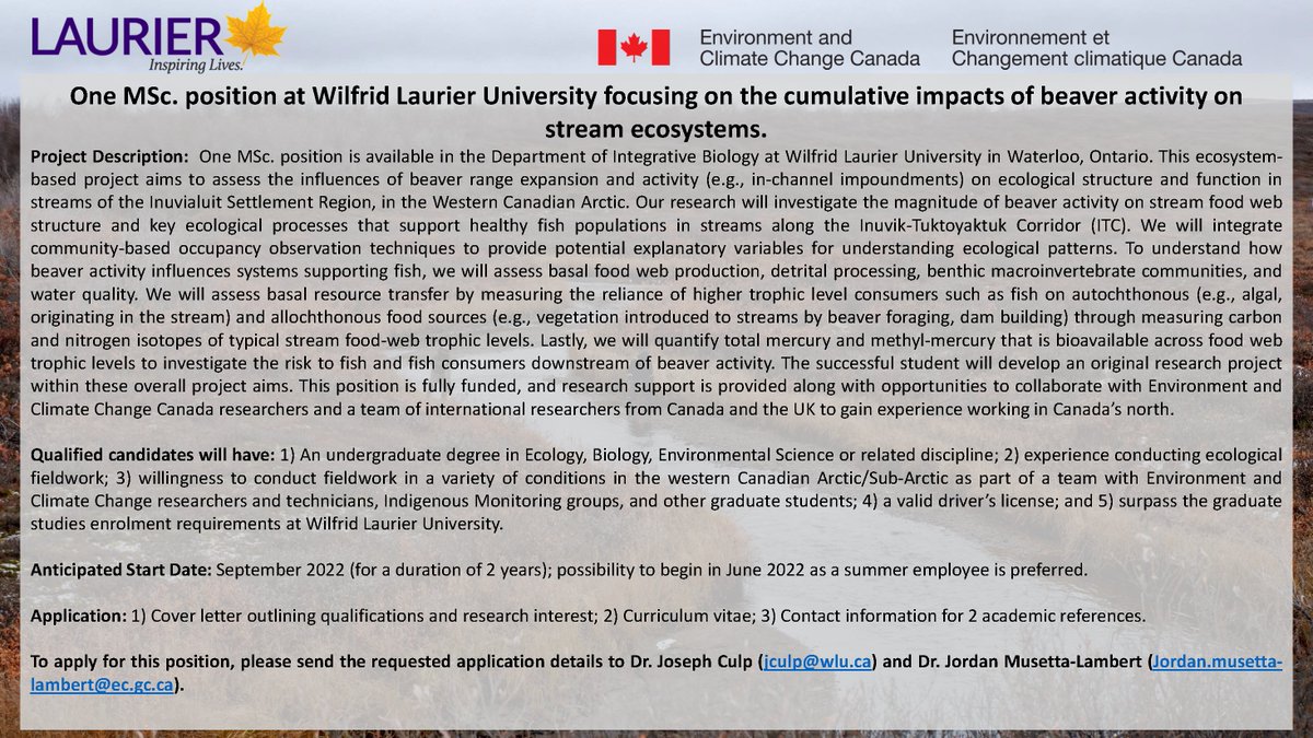 JMusettaLambert's tweet photo. An exciting MSc. opportunity working with Dr. Joseph Culp (WLU) &amp; I studying how beaver colonization in tundra streams influences aquatic food web structure, function, &amp; potential mercury bioaccumulation. @LaurierBiology @ECCCSciTech #Arctic #Science https://t.co/KiAHs34qzu