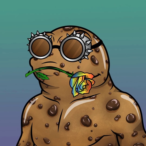CommunityFlare's tweet photo. 🐸 #Giveaway Time! 🎁

sToadz is one of the most ambitions and unique #NFT projects on the #Songbird Network!

I will be giving 4x the full set (sToadz + 2x META #NFTs) to 4 lucky winners who:

Retweets &amp; Follows @KingsmanxToadz for the latest project updates, it's that simple! https://t.co/EV0smfXccW