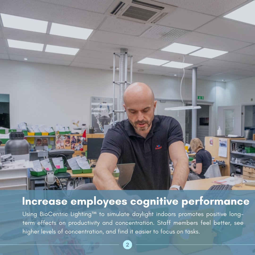 BrainLit tweet media