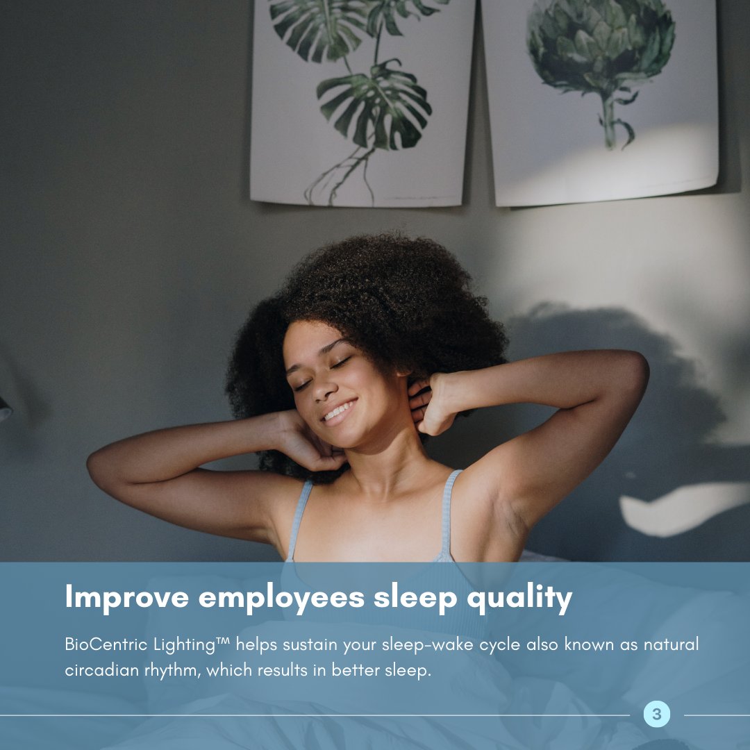 BrainLit tweet media