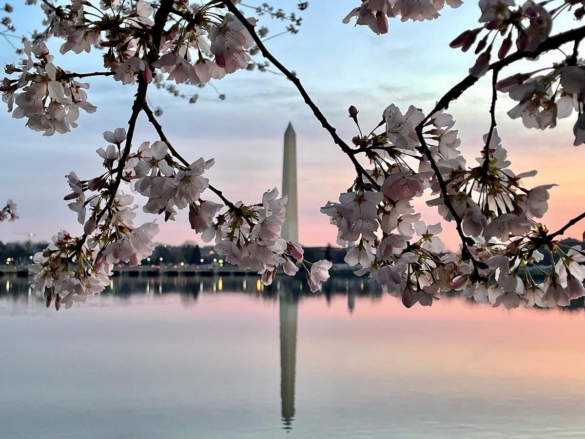 Charles Scheinost tweet media