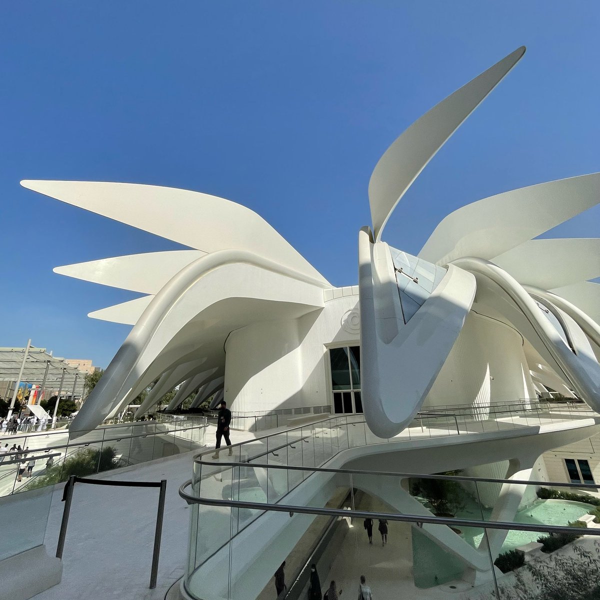milacat's tweet photo. The Italian #innovation in the #UAE under the spotlight with the last episode of @ITAtradeagency #Innovation #Talk More on @MediasetTgcom24 https://t.co/Qb07t6P052 #Dubai #Expo2020Dubai #Italy @ItalyinUAE @ItalyExpo2020 @ITADubai @DuplomaticOleo @expo2020dubai @UAEexpo2020 https://t.co/bibpmQm0UD