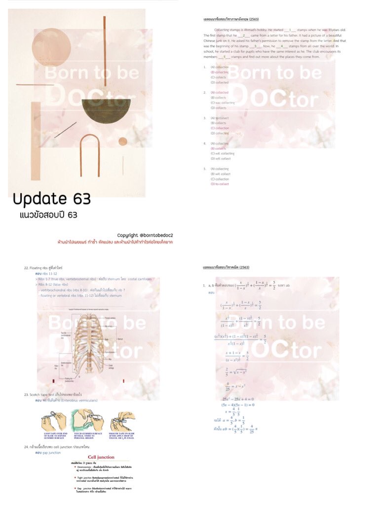 borntobedoc2's tweet photo. 🚩 เหลือเวลาอีก 1 เดือนเท่านั้น สำหรับการสอบรับตรงของม.รังสิต ใครอยากได้โจทย์ไปฝึกฝน เป็นแนวข้อสอบปีที่ผ่านๆมา+สรุปเนื้อหา+อัพเดทแนวข้อสอบ ทัก dm มาได้เลยน้า ใครยังไม่สมัครดำเนินการได้ถึงวันที่ 11 เมษานะคะ #dek65​ #วิชาสามัญ65 #แพทย์รังสิต #หมอรังสิต #ทันตะรังสิต #เภสัชรังสิต https://t.co/jfcJYrDNlm