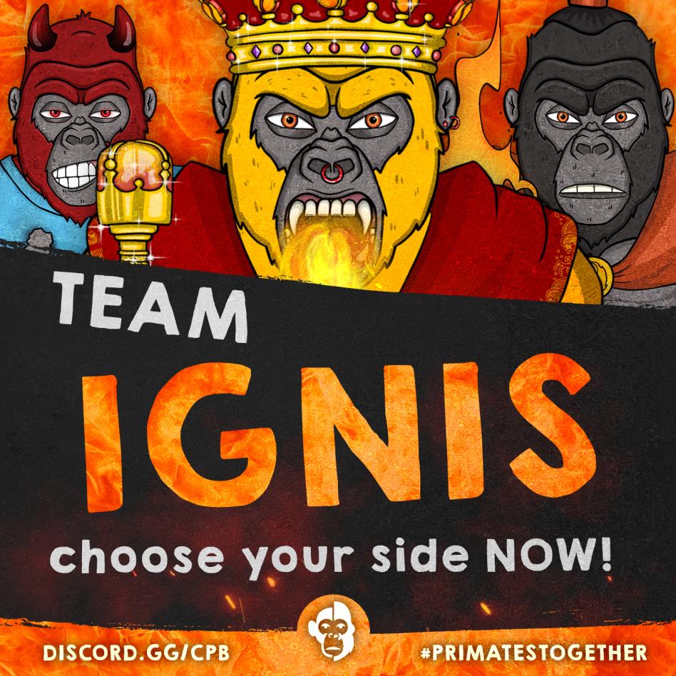 PrimateBusiness's tweet photo. Flames rise from the hell...

#TeamIgnis show me your #CGB 🔥

An important choice is waiting for you soon

Stay tuned⌛️

#crofam 🤝 #cronosnft https://t.co/26TUyoPeNX