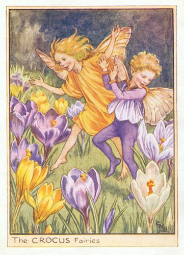 Crocuses are Harbingers of Spring! "The Crocus Fairies" by Cicely Mary Barker (1895-1973)