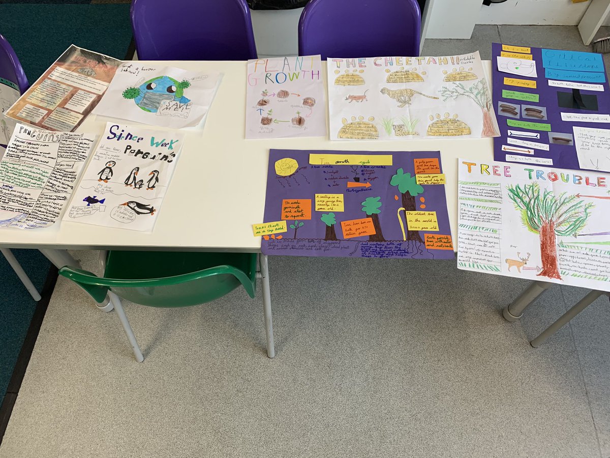 St Michaels Stone tweet media