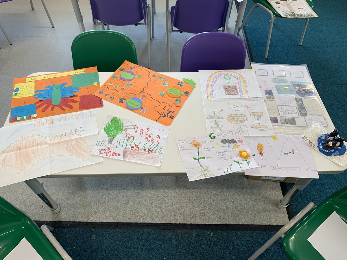 St Michaels Stone tweet media