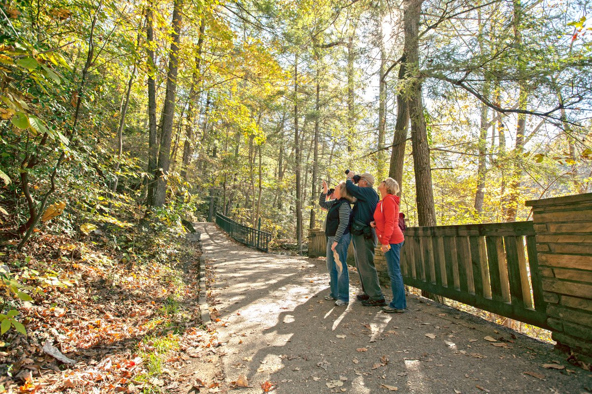 KyTAHC's tweet photo. Our @KYStateParks is home to nearly 300 miles of hiking trails around Kentucky, providing excellent viewing opportunities for amateur and experienced birders. 
Check out these #birdwatching opportunities at a park near you🦅⤵️
https://t.co/3dYw4aWcf6 https://t.co/HoF25Tkohx