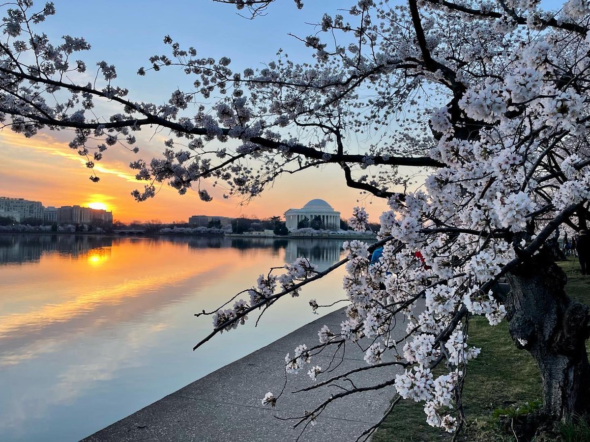 Charles Scheinost tweet media