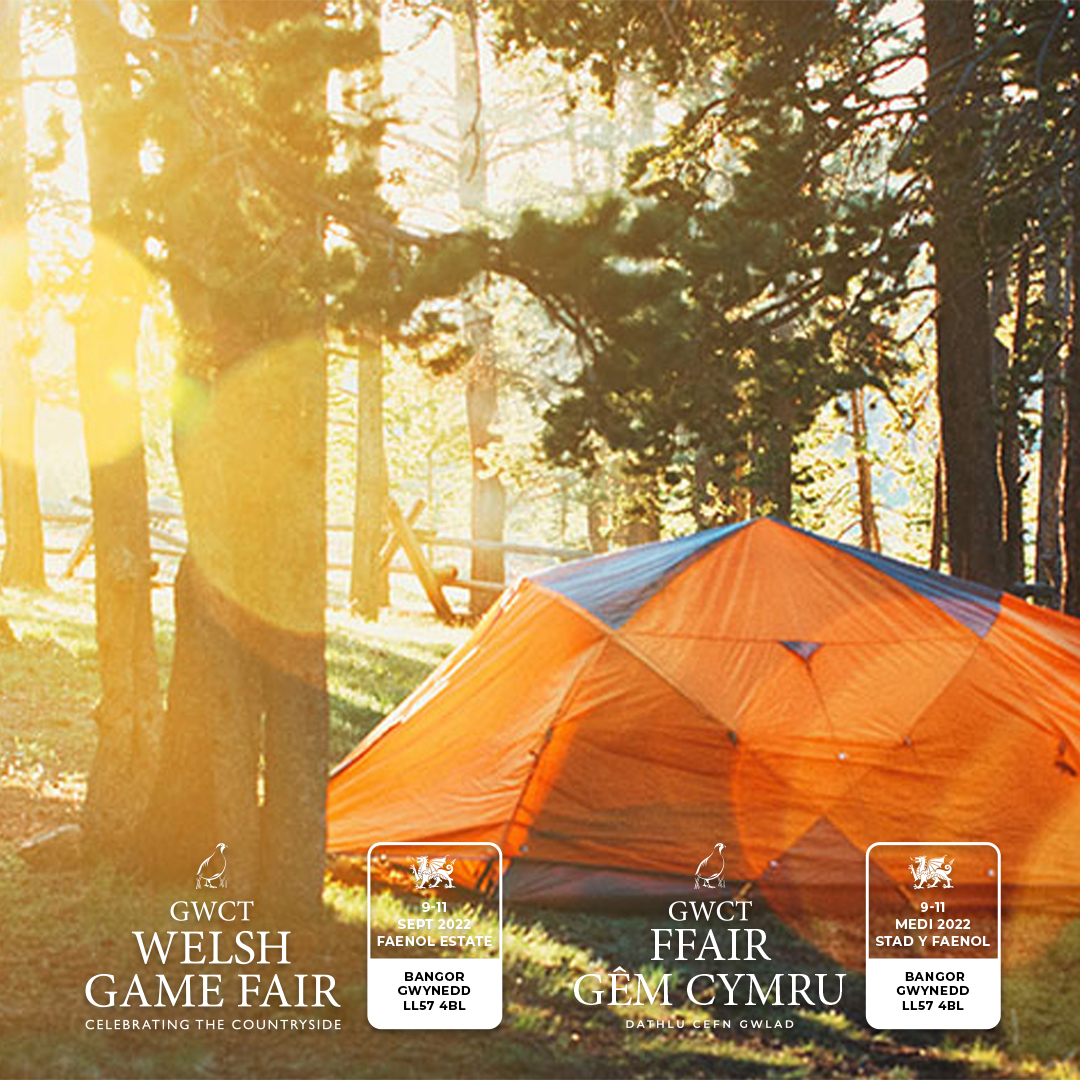 Welsh_Game_Fair (Welsh_Game_Fair) / Twitter