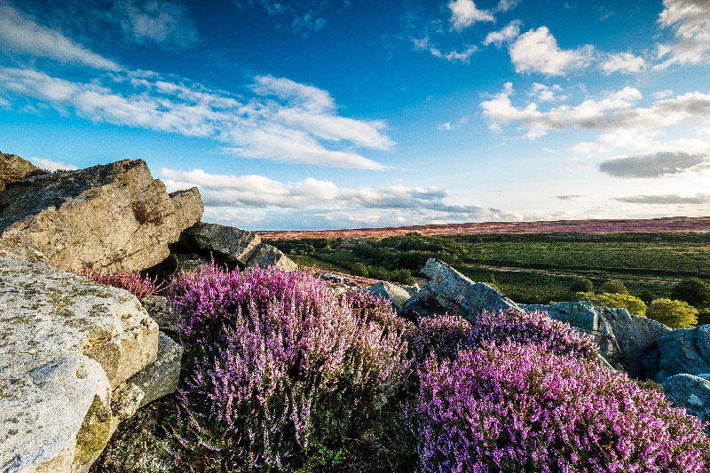 UKTourismHub's tweet photo. Happy 70th birthday to the North York Moors National Park! Seventy years ago, in 1952 Britain gained its sixth National Park. Check out some of the great events happening throughout the park and throughout 2022 to celebrate! https://t.co/IxJbkqFldK https://t.co/XolPX84ydF