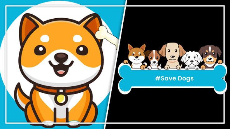 giovanicardos12's tweet photo. @GuardaWallet @babydoge @SimplexCC @babydoge 🐶💫

shill babydoge family ❤️🦾

🙏🏻 #babydogecoin 
❤️ #babydogefamily 
🦾 #babydogearmybr
📰 #cryptonews 

🐶🚀

#babydoge #babydogearmybr #bsc #btc 
#nft #nfts #babydogearcade #babydogewallet #babydogeexchange #babydogecards https://t.co/cdHM15Xx3g