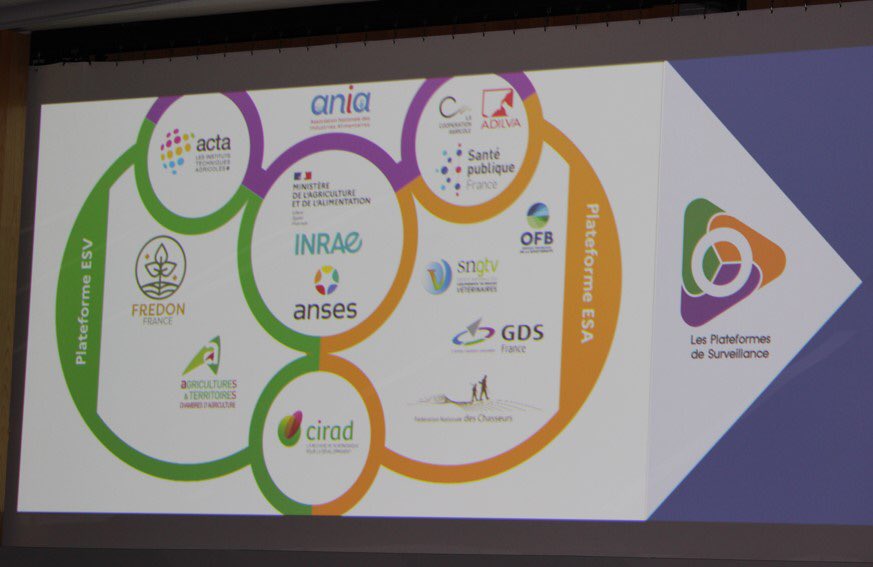 olivimre's tweet photo. Le séminaire #PFUE2022 sur les plateformes d’épidémiosurveillance c’est en ce moment ! Une journée de débats organisée par la Direction générale de l’alimentation de @Agri_Gouv en présence de nombreux acteurs français et européens #UneSeuleSanté #OneHealth #DGAL https://t.co/BqkR5BtBIO