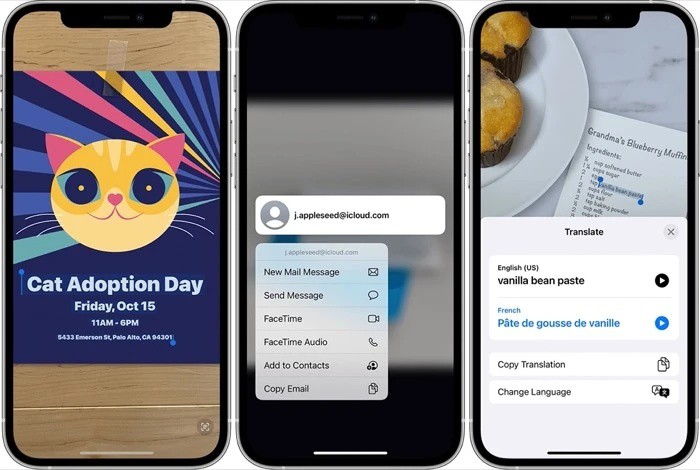 rajupp's tweet image. In this guide, we’ll walk you through the steps to use Live Text on your iPhone.

Read more 👉 lttr.ai/udyE

#LiveText #HowTo #iPhone