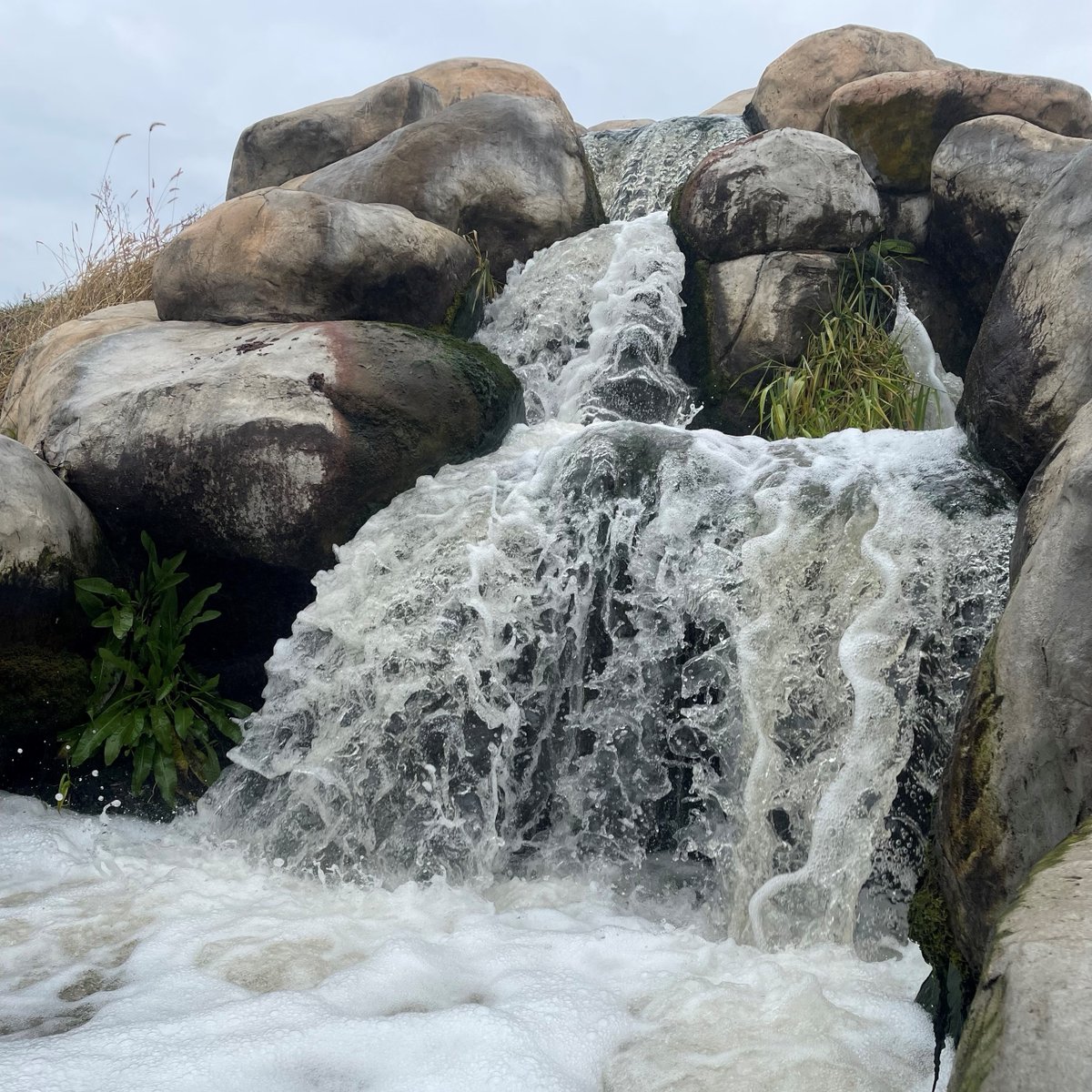 madmetrosewer's tweet photo. Wastewater doesn't just go away when we flush. It comes to the treatment plant, where it's cleaned before going back to the environment via outfalls like Badger Mill Creek. #RespectEveryDrop ... because the water we have now is the same water we'll have forever. #WorldWaterDay https://t.co/phozv3Vr74