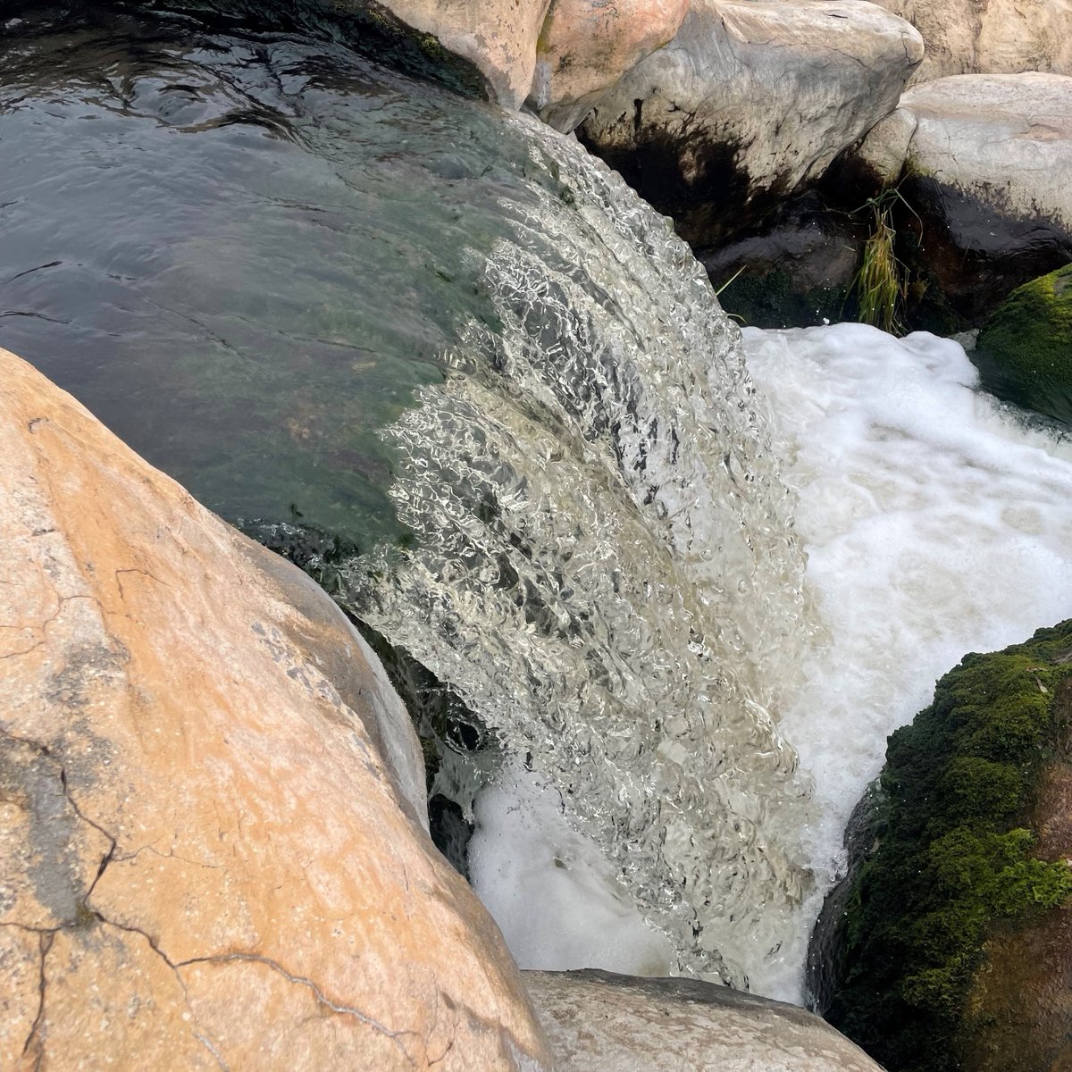 madmetrosewer's tweet photo. Wastewater doesn't just go away when we flush. It comes to the treatment plant, where it's cleaned before going back to the environment via outfalls like Badger Mill Creek. #RespectEveryDrop ... because the water we have now is the same water we'll have forever. #WorldWaterDay https://t.co/phozv3Vr74